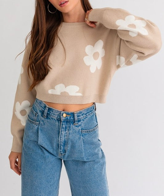 Janelle Long Sleeve Crop Sweater with Daisy Pattern