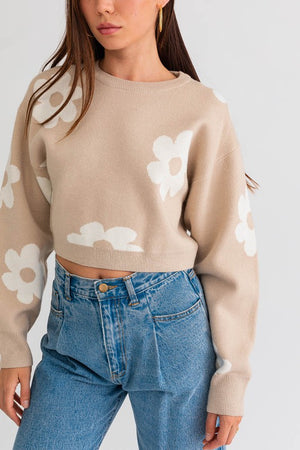 Janelle Long Sleeve Crop Sweater with Daisy Pattern