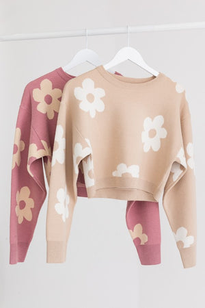 Janelle Long Sleeve Crop Sweater with Daisy Pattern