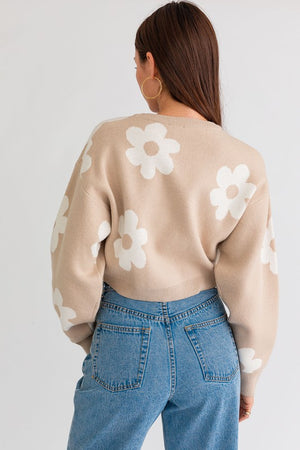 Janelle Long Sleeve Crop Sweater with Daisy Pattern