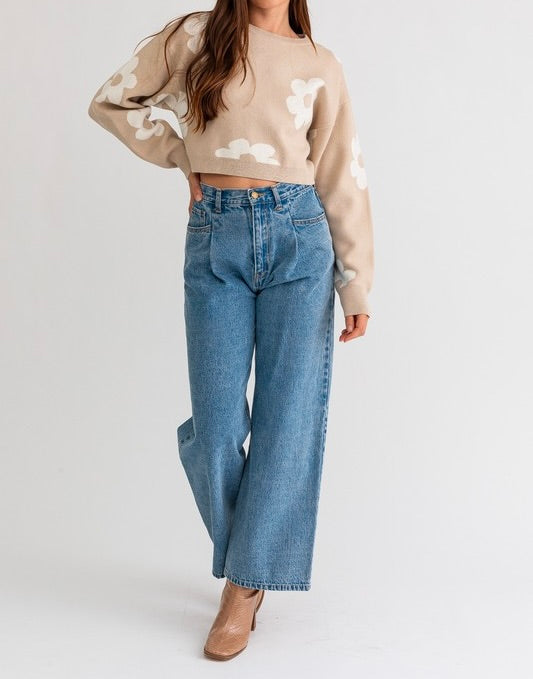 Janelle Long Sleeve Crop Sweater with Daisy Pattern