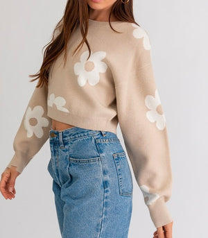 Janelle Long Sleeve Crop Sweater with Daisy Pattern